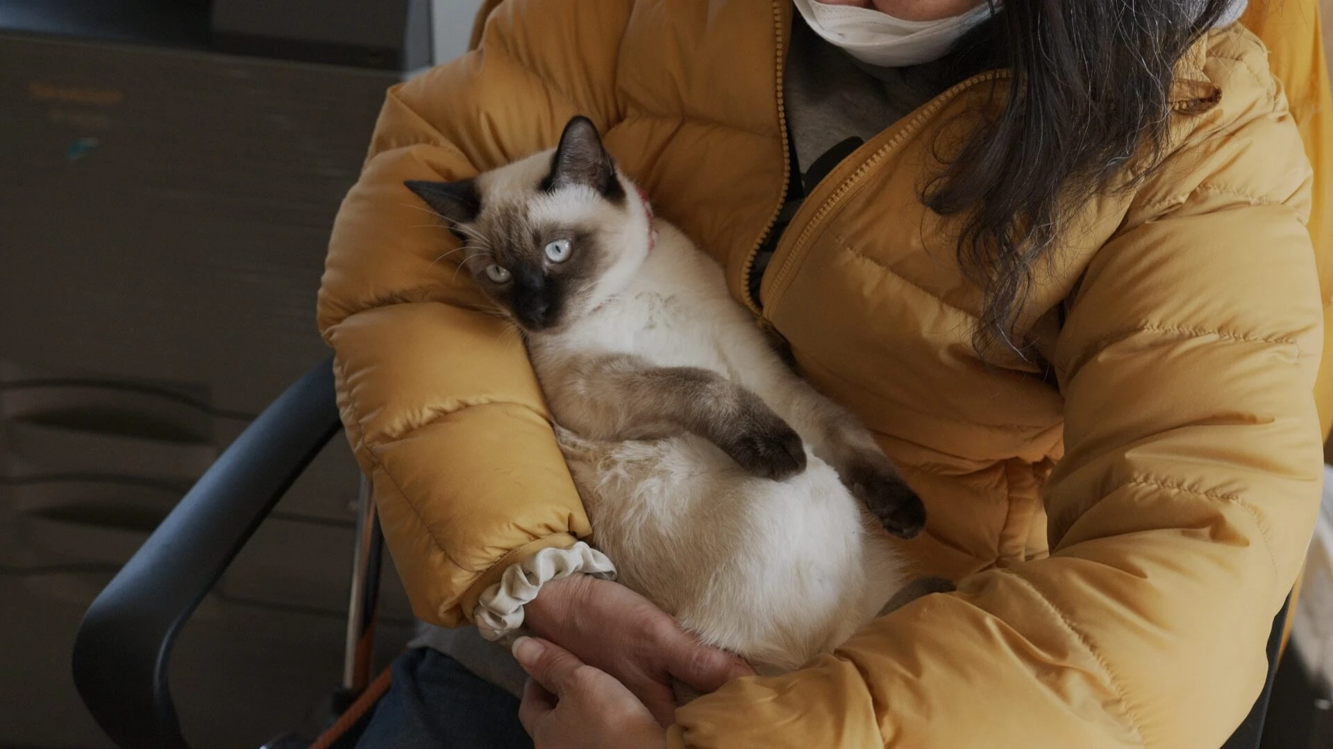 相談